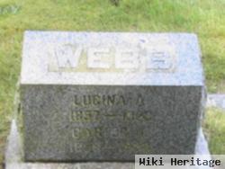 Lucina A Webb