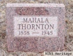 Mary Mahala Jane Chrisman Thornton