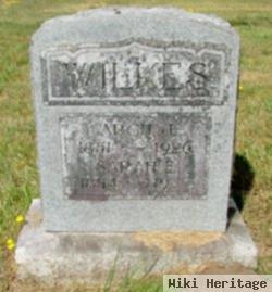 Sarah Ellen Leach Wilkes