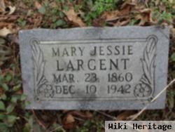 Mary Ann Jessie Largent