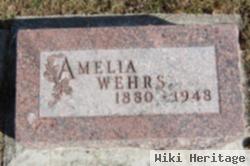 Amelia Wehrs