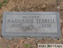 Narsissus Terrell