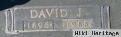 David J Wood