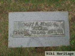 Mary Arthur "atchie" Jemison