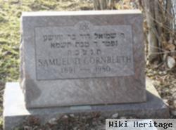 Samuel D Cornbleth