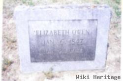 Annie Elizabeth "lizzie" Mathews Owen