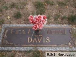 Elva M Davis