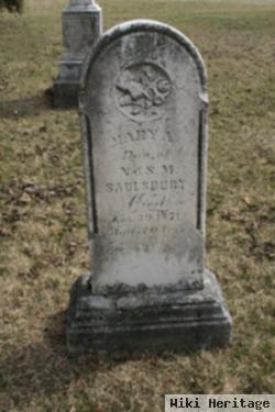 Mary A. Saulsbury