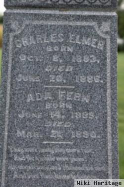 Charles Elmer Michaels