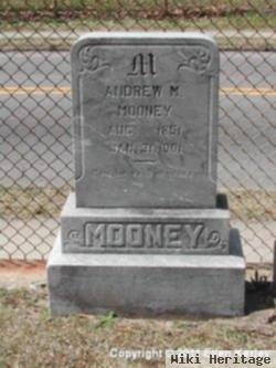 Andrew M Mooney