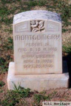 Mary Virginia Montgomery