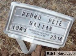 Pedro "pete" Gaitan