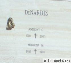 Anthony C Denardis