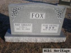 Ray Schultz Fox