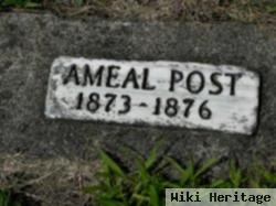 Ameal Post