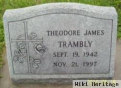 Theodore James Trambly