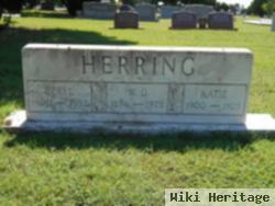 Katie Mae Robertson Herring