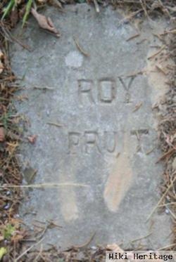 Roy Pruit