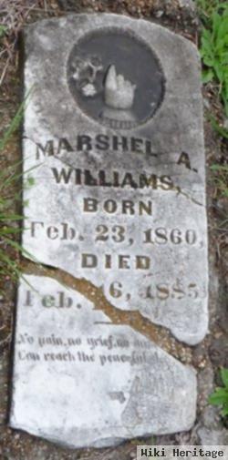 Marshel A Williams