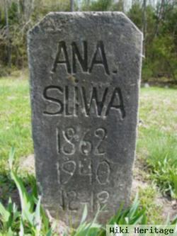 Ana Sliwa