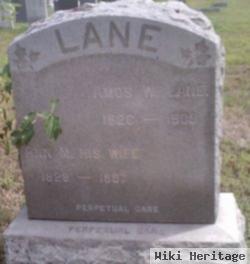 Amos Wilkinson Lane