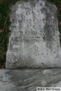 Edward A Specht