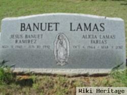 Jesus Banuet Ramirez