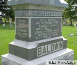 Infant Baldwin