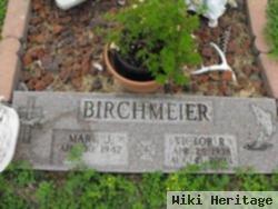 Victor Raymond Birchmeier