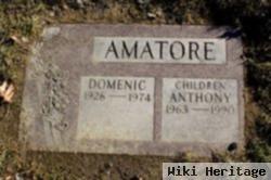 Domenic Amatore