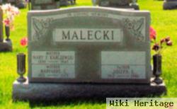 Joseph E Malecki