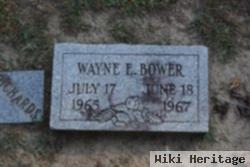 Wayne E Bower