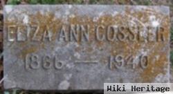 Eliza Ann Hohimer Cossler