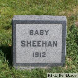 Baby Sheehan