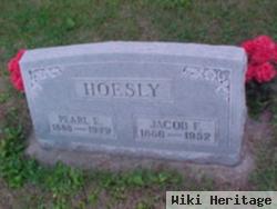 Jacob F Hoesly