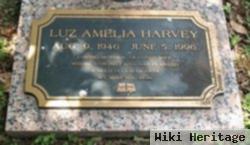 Luz Amelia Harvey