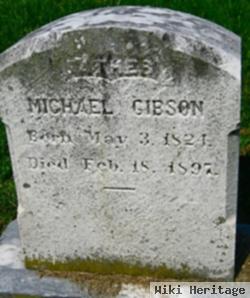 Michael Gibson