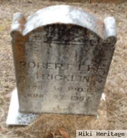 Robert Lee Stricklin