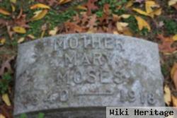 Mary Carroll Moses