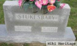 Hazel Irene Noyes Stukesbary