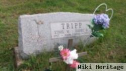 Ethel Mae Gregory Tripp