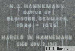 N. A. Hannemann