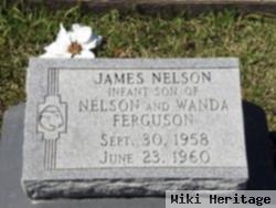 James Nelson Ferguson