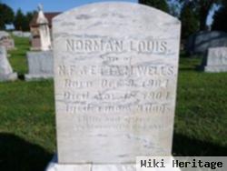 Norman Lewis Wells