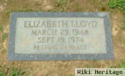 Elizabeth Lloyd Hawthorne