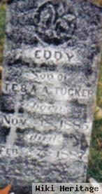 Eddy Tucker