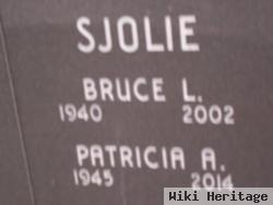 Bruce Leon Sjolie