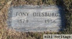 Anthony Francis "tony" Diesburg