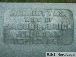 Henrietta S. Godfrey Brick