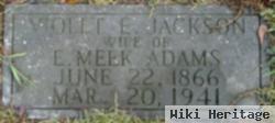 Violet E. Jackson Adams